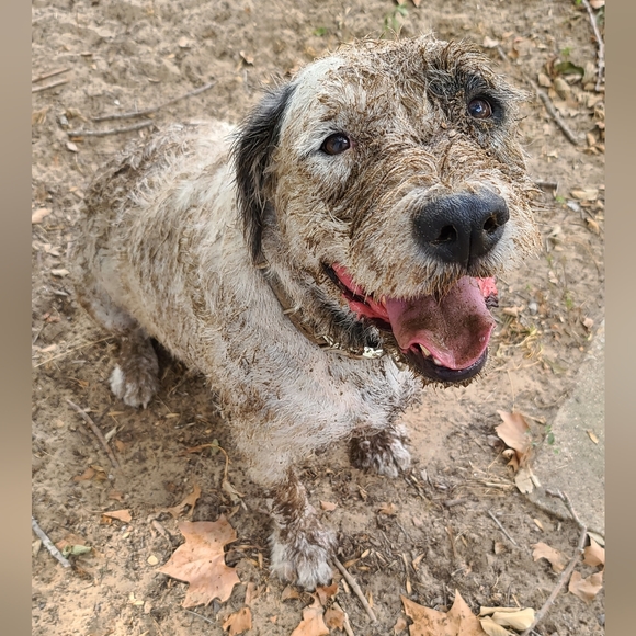 Meet your Posher, Dorothy - Picture 5 of 12